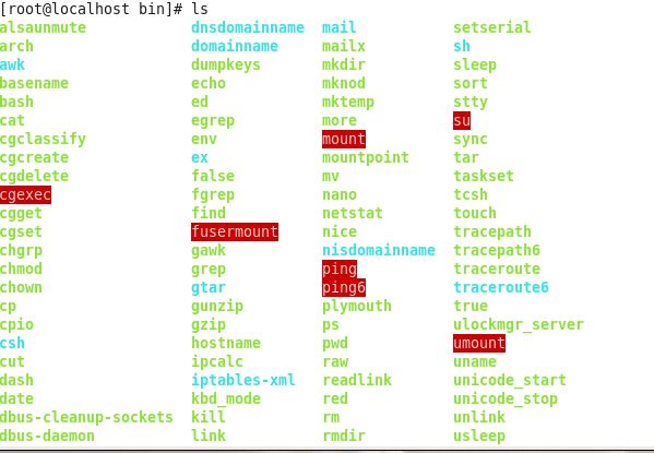 Uniux bin directory structure