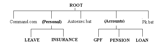 Directory Structure of DOS