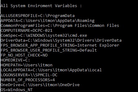 Output of C file handling program to Print Environment Variables